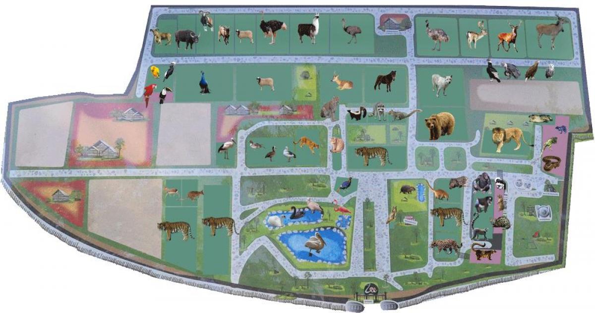 Карта бухарестского зоопарка